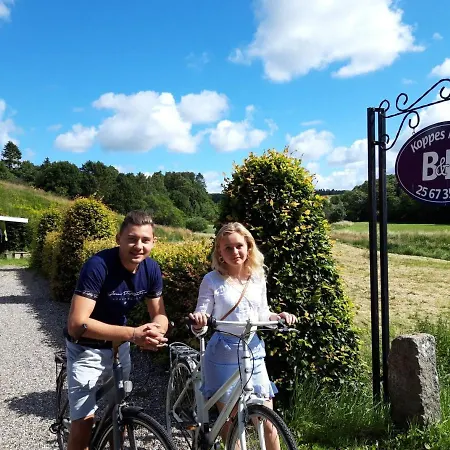 Koppes Molle B&B Borup  Экстерьер фото
