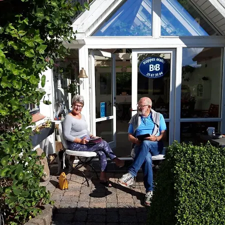 Koppes Molle B&B Borup  Экстерьер фото