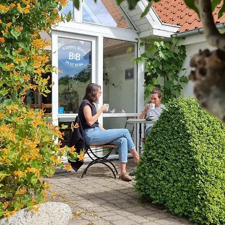 Koppes Molle B&B Borup  Экстерьер фото