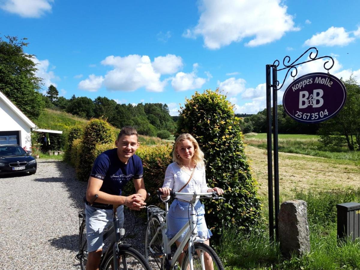 Koppes Molle Bed & Breakfast Borup (Nibe)