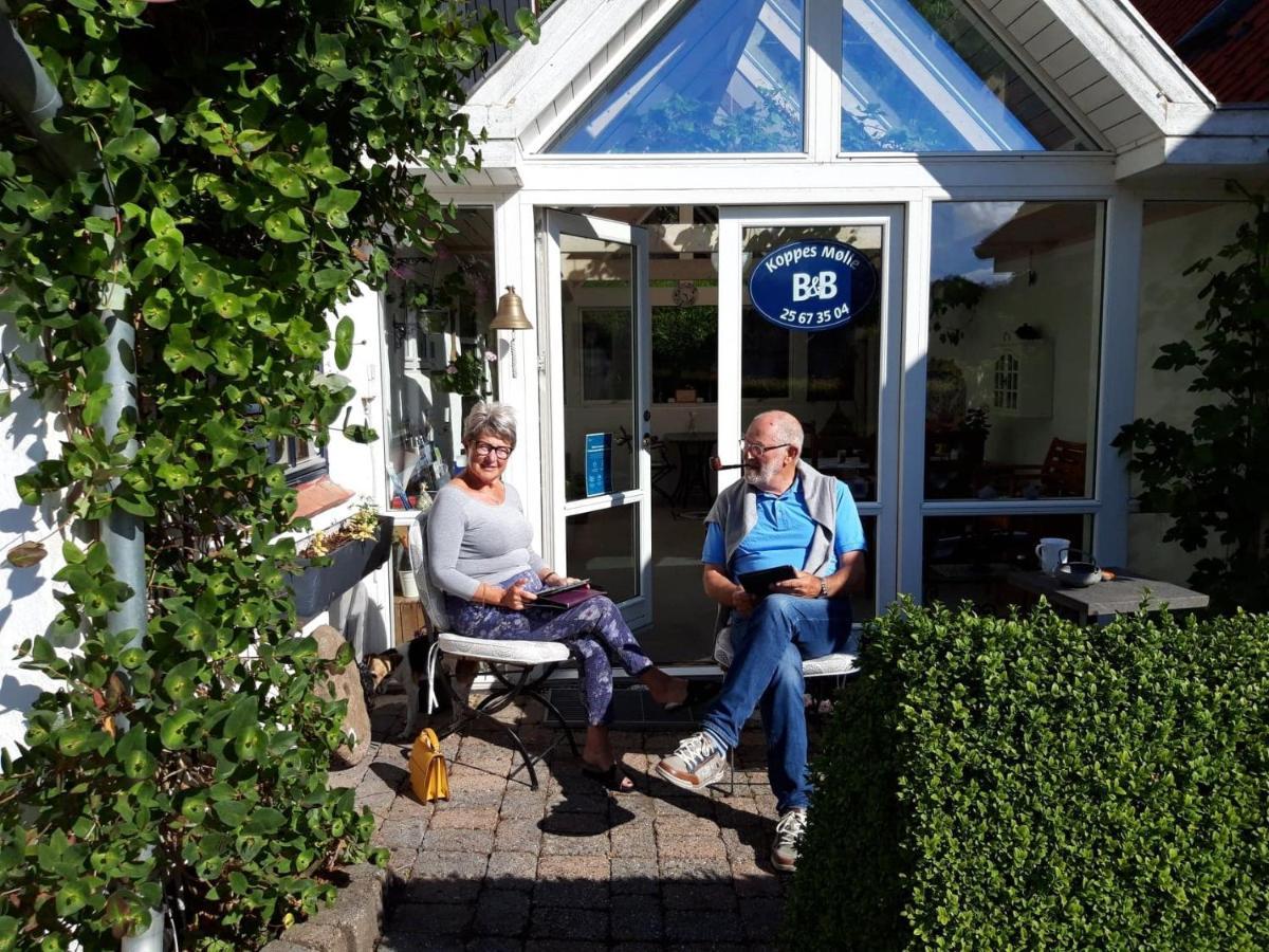 Koppes Molle Bed & Breakfast Borup (Nibe)